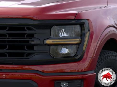 New 2025 Ford F150 XLT w/ Equipment Group 303A High image 19