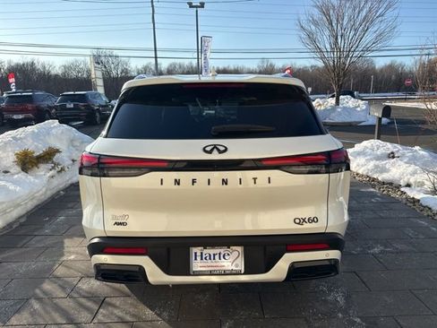 Certified 2025 INFINITI QX60 Luxe w/ Black Edition image 6