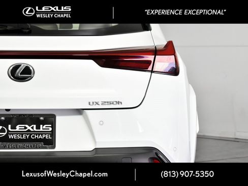 Used 2023 Lexus UX 250h F Sport image 8