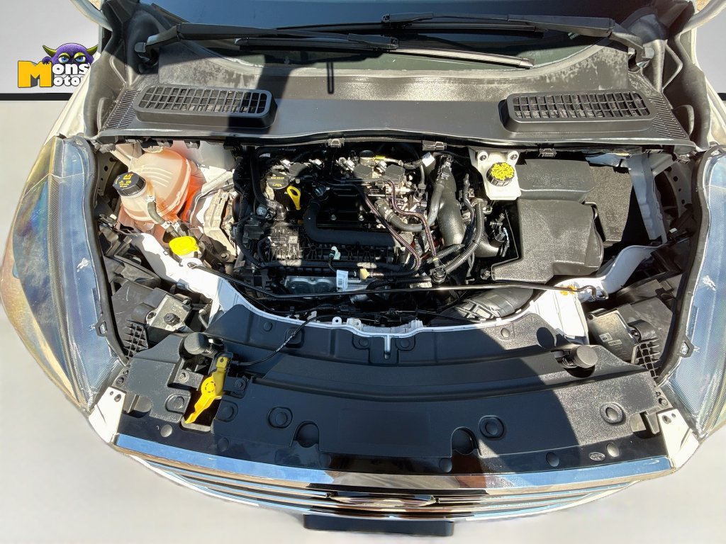 Used 2019 Ford Escape SE AWD/4WD image 31