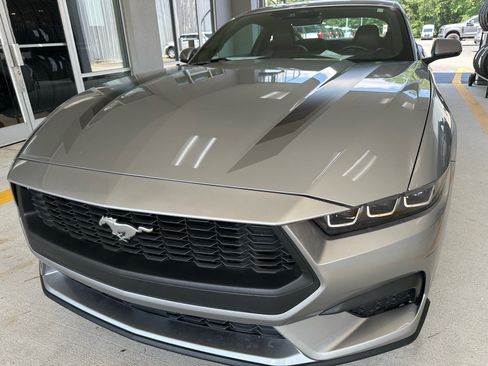 Certified 2025 Ford Mustang Premium RWD image 1