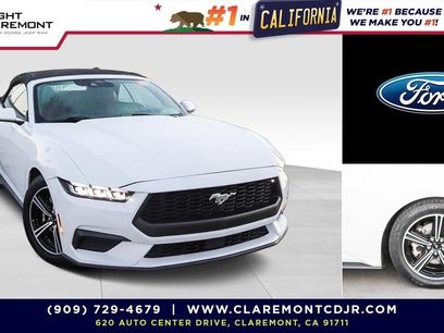 Used 2024 Ford Mustang Premium