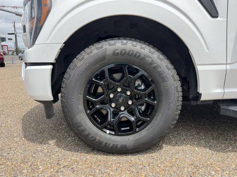 Used 2023 Ford F150 XL w/ STX Appearance Package RWD image 7