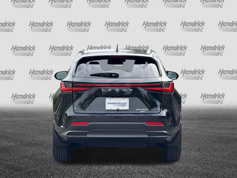 Certified 2025 Lexus NX 350h AWD w/ Premium Package image 6