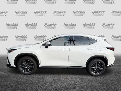 Certified 2026 Lexus NX 350 AWD w/ Cold Area Package image 6