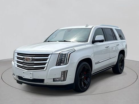 Used 2020 Cadillac Escalade Platinum AWD/4WD image 1