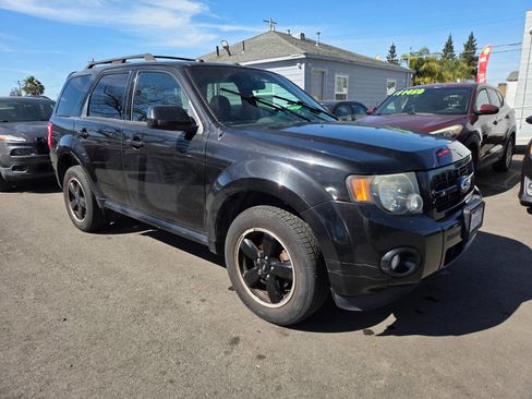 Used 2011 Ford Escape XLT w/ 202A Rapid Spec Order Code image 4