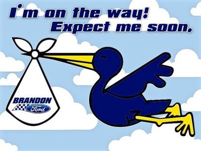 New 2025 Ford F150 STX w/ Equipment Group 200A