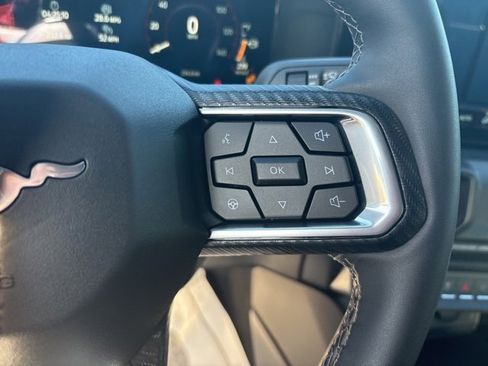 New 2026 Ford Mustang Coupe w/ Mustang Nite Pony Package image 16