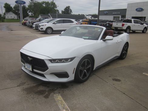 Used 2024 Ford Mustang Premium RWD image 3