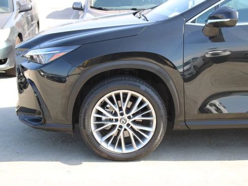 Certified 2025 Lexus NX 350h AWD w/ Cold Area Package image 4