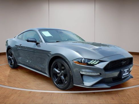 Used 2023 Ford Mustang Premium w/ Mustang Nite Pony Package RWD image 1