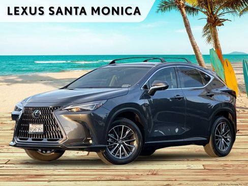 Used 2025 Lexus NX 350h AWD w/ Cold Area Package image 1