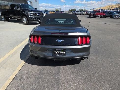 Used 2016 Ford Mustang Premium RWD image 6