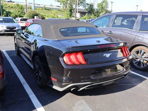 Used 2018 Ford Mustang Premium RWD image 5