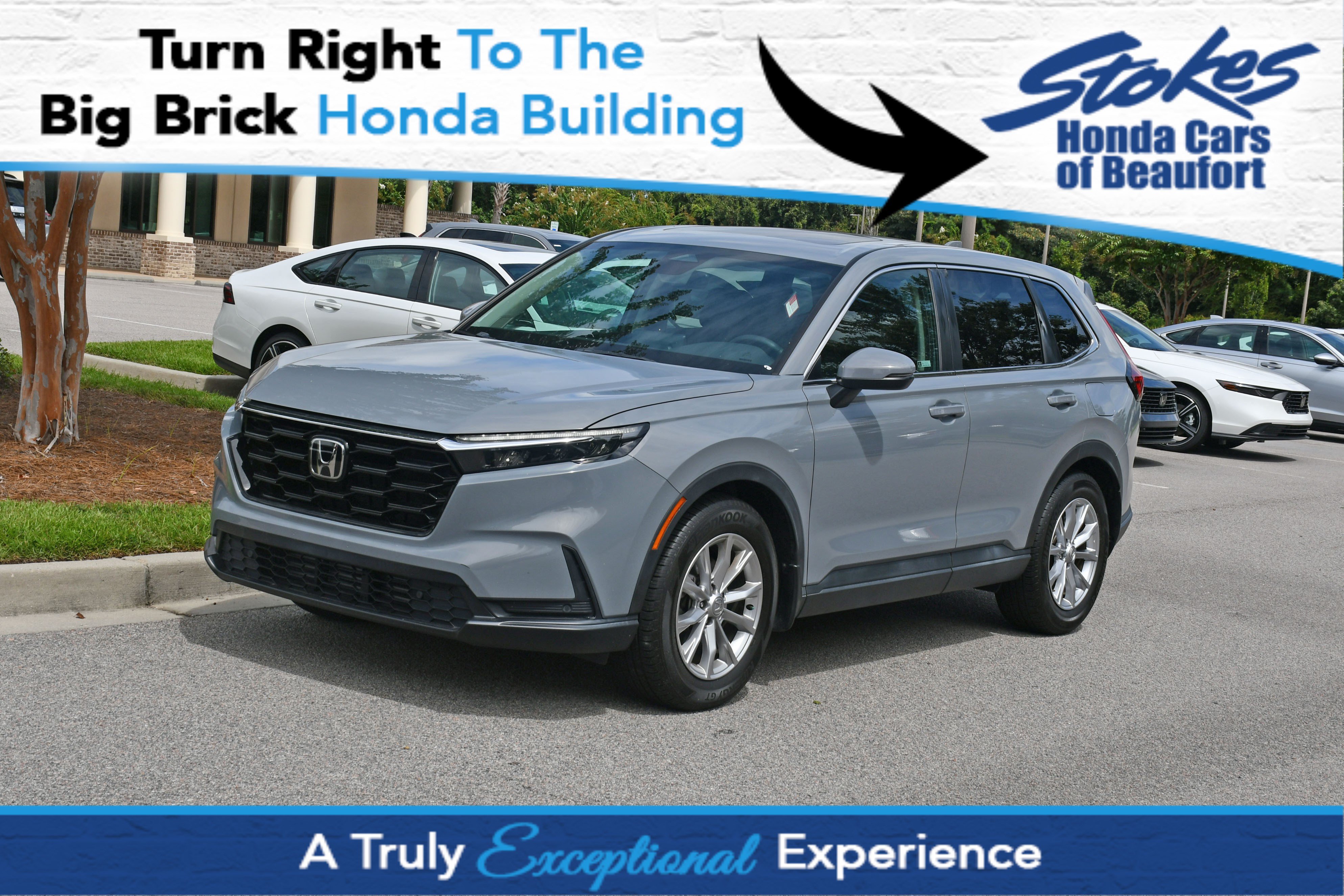 Used 2024 Honda CR-V EX-L image 1