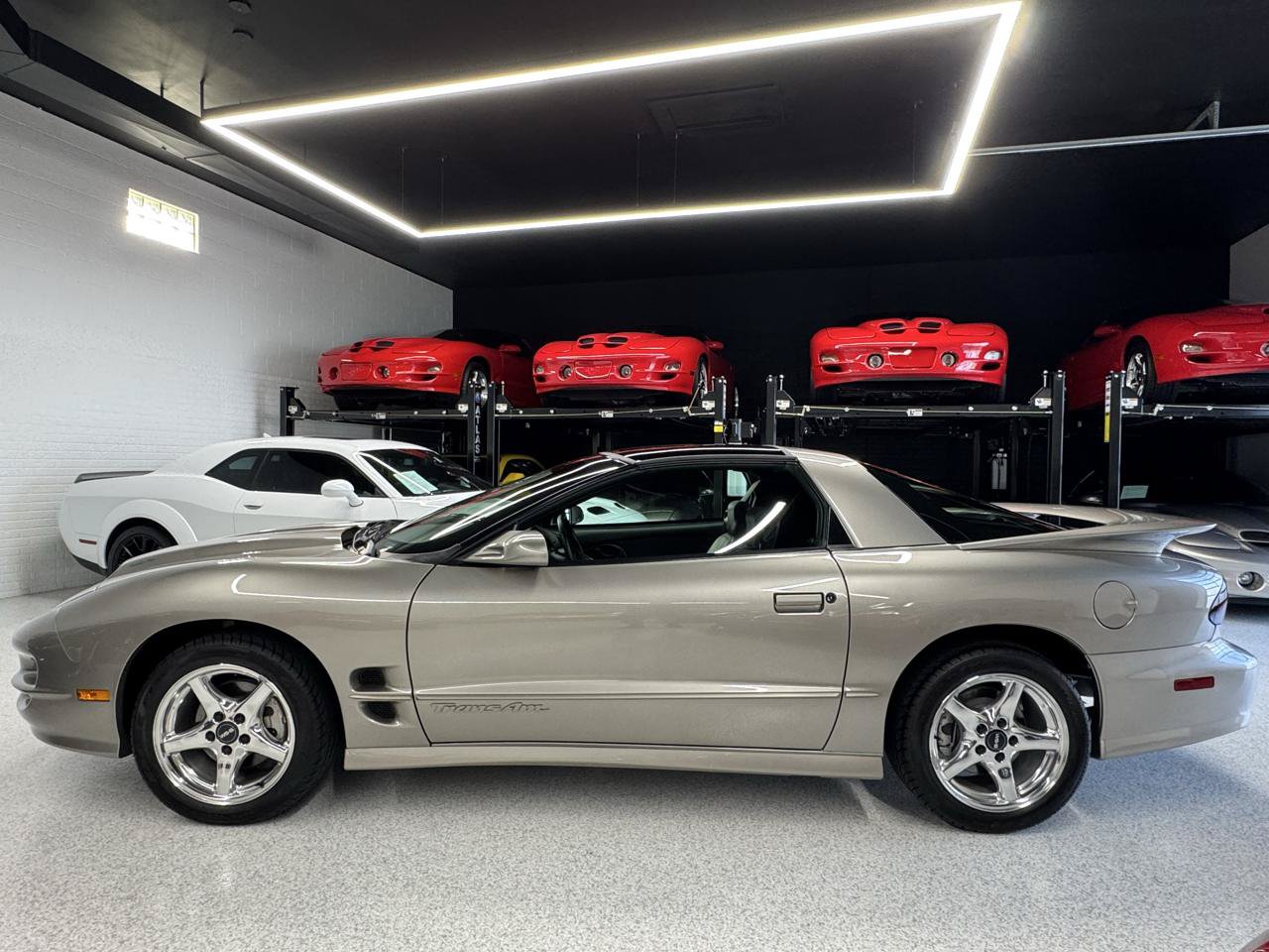 Used 2000 Pontiac Firebird Formula RWD image 7