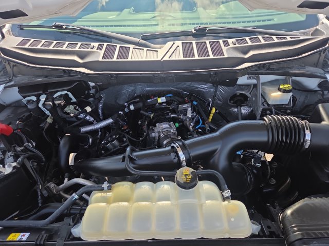 Used 2023 Ford F150 XL w/ STX Appearance Package RWD image 32