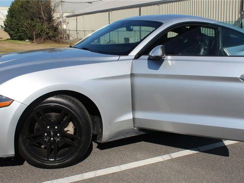 Used 2019 Ford Mustang Premium image 4