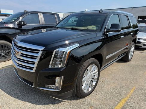 Used 2019 Cadillac Escalade Platinum AWD/4WD image 5