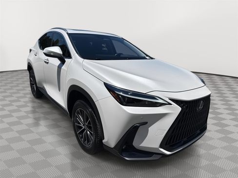 Used 2025 Lexus NX 250 FWD w/ Cold Area Package image 4