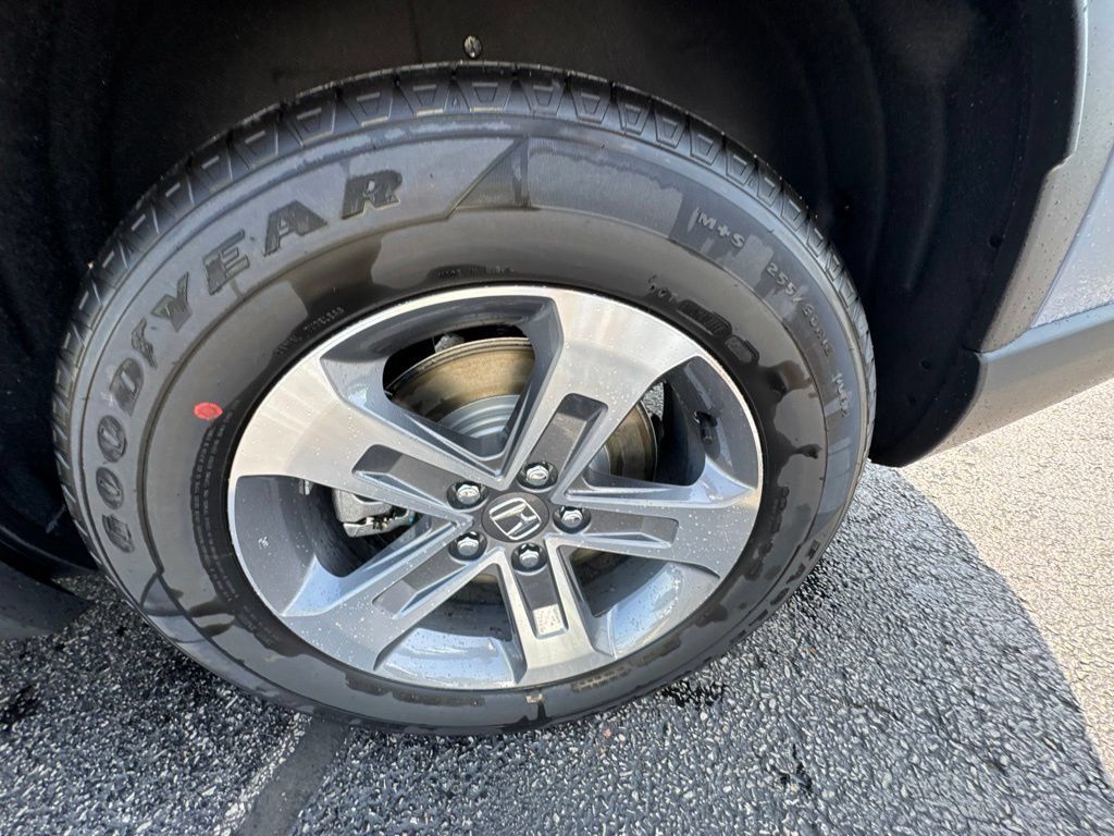 New 2026 Honda Pilot EX-L image 11