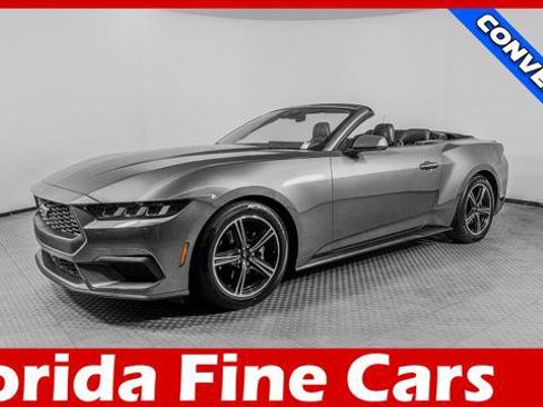 Used 2024 Ford Mustang Premium RWD image 1