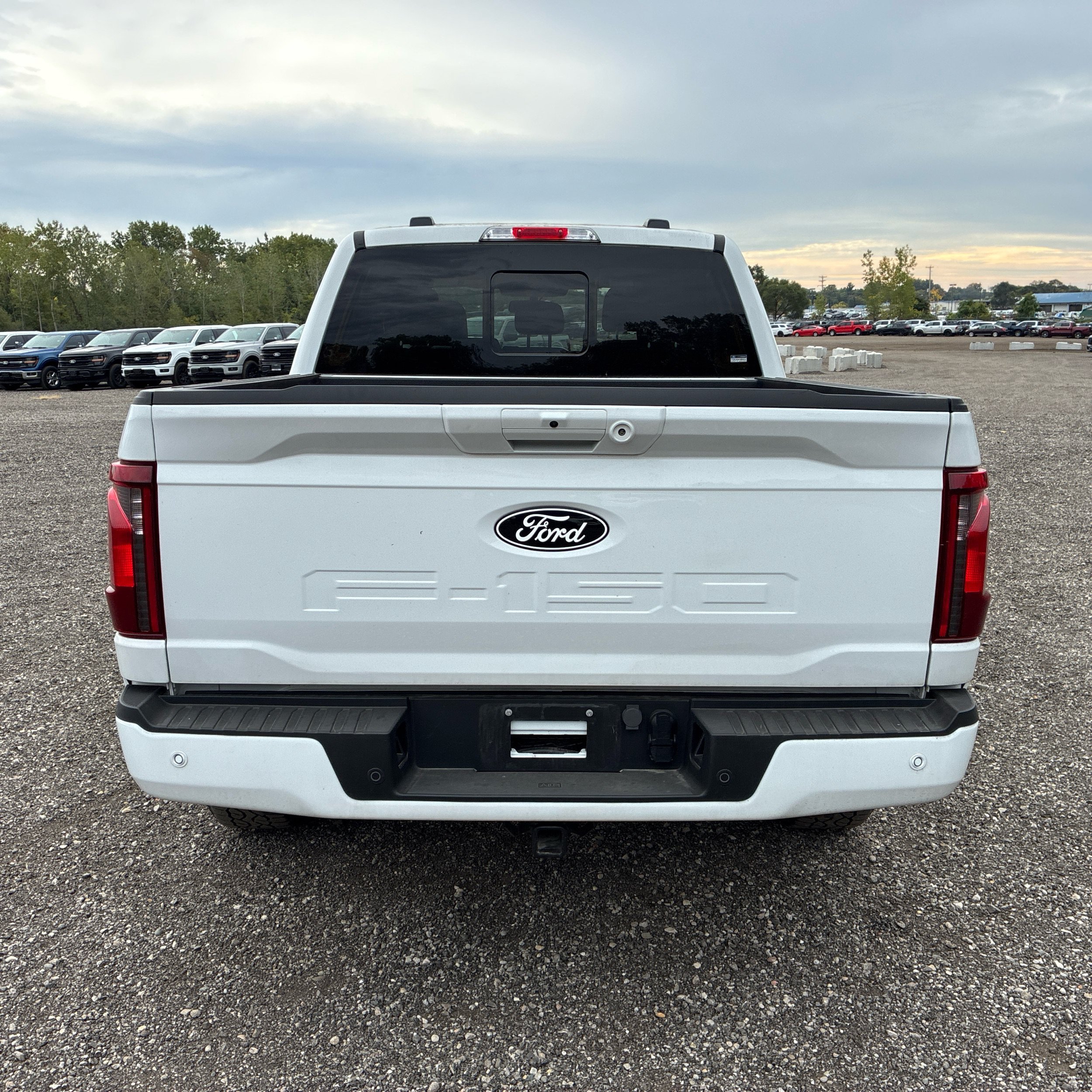 Used 2024 Ford F150 XLT w/ Equipment Group 302A MID AWD/4WD image 5