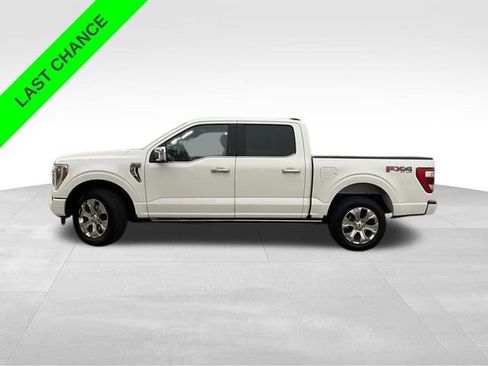 Used 2021 Ford F150 Platinum w/ Equipment Group 701A High AWD/4WD image 3