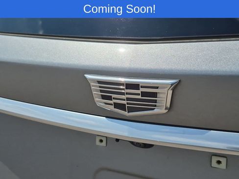 Used 2024 Cadillac XT6 Premium Luxury AWD/4WD image 11