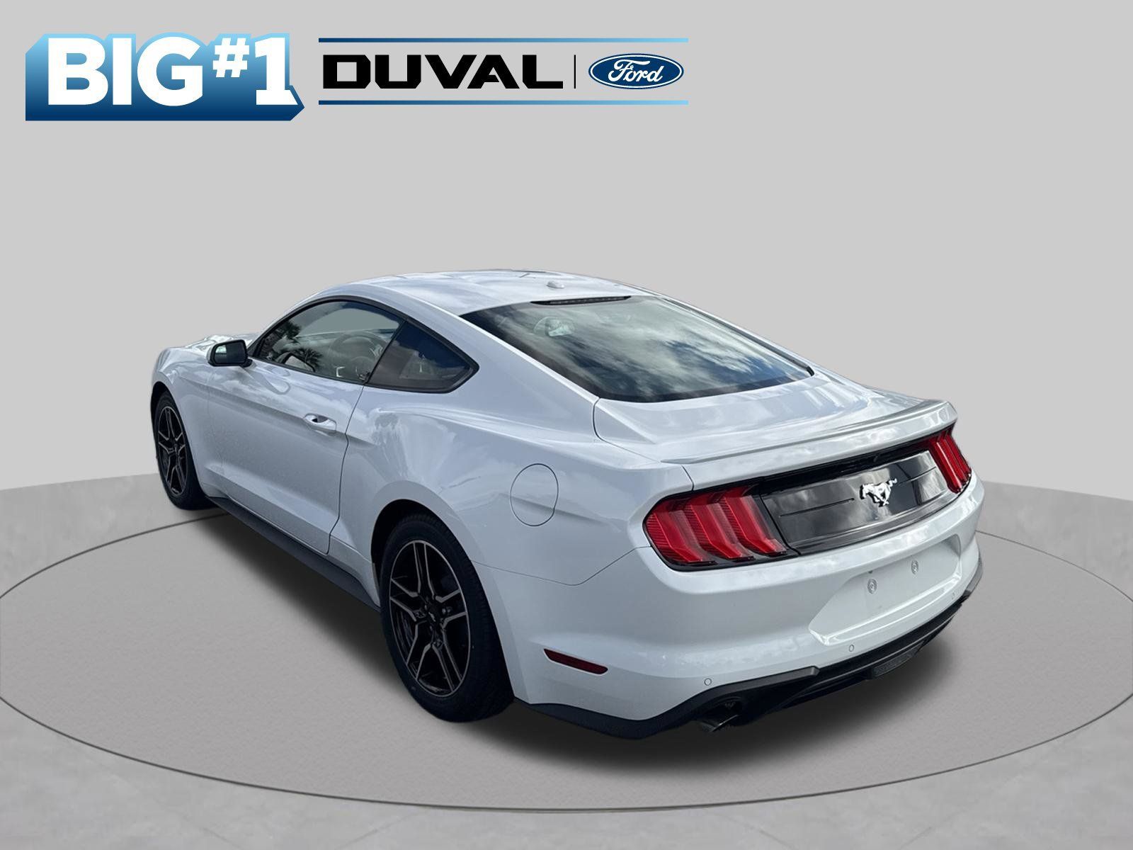 Used 2019 Ford Mustang Premium w/ Equipment Group 201A RWD image 5