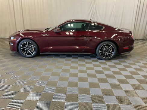 Used 2018 Ford Mustang Premium w/ Equipment Group 201A RWD image 8