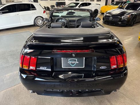 Used 1999 Ford Mustang Cobra RWD image 10