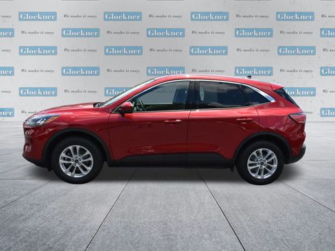 Used 2020 Ford Escape SE AWD/4WD image 9