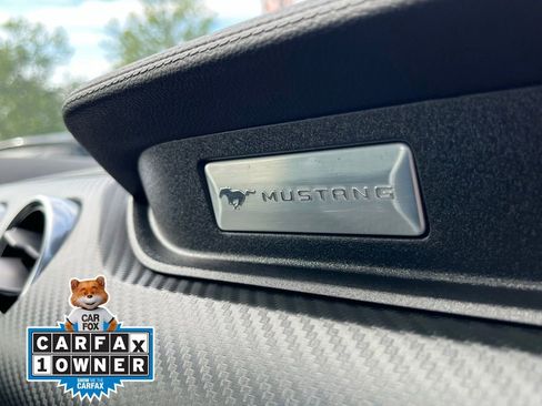 Used 2019 Ford Mustang Coupe RWD image 20
