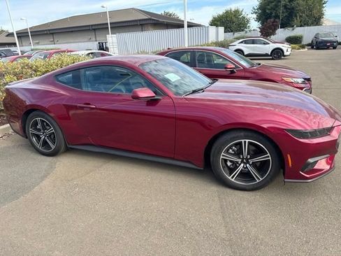 Used 2025 Ford Mustang Premium RWD image 3