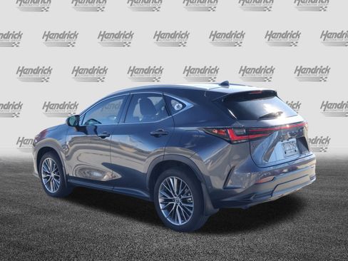 Certified 2022 Lexus NX 350h AWD w/ Vision Package image 7