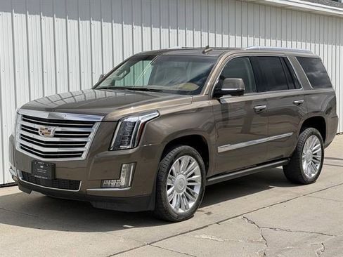Certified 2016 Cadillac Escalade Platinum AWD/4WD image 1