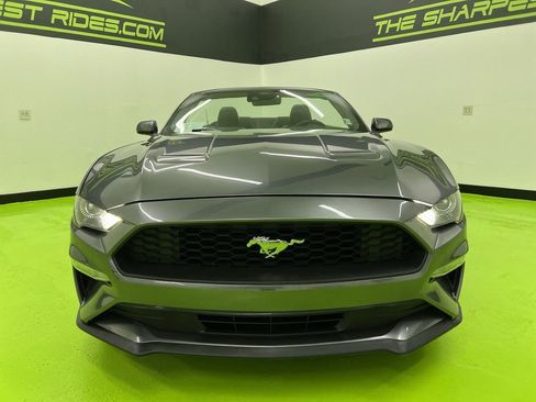 Used 2023 Ford Mustang Premium RWD image 4