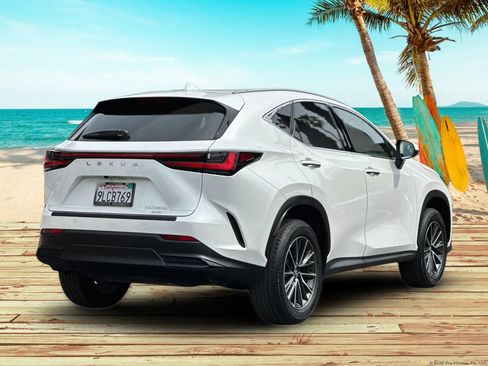 Used 2024 Lexus NX 350h AWD w/ Vision Package image 6