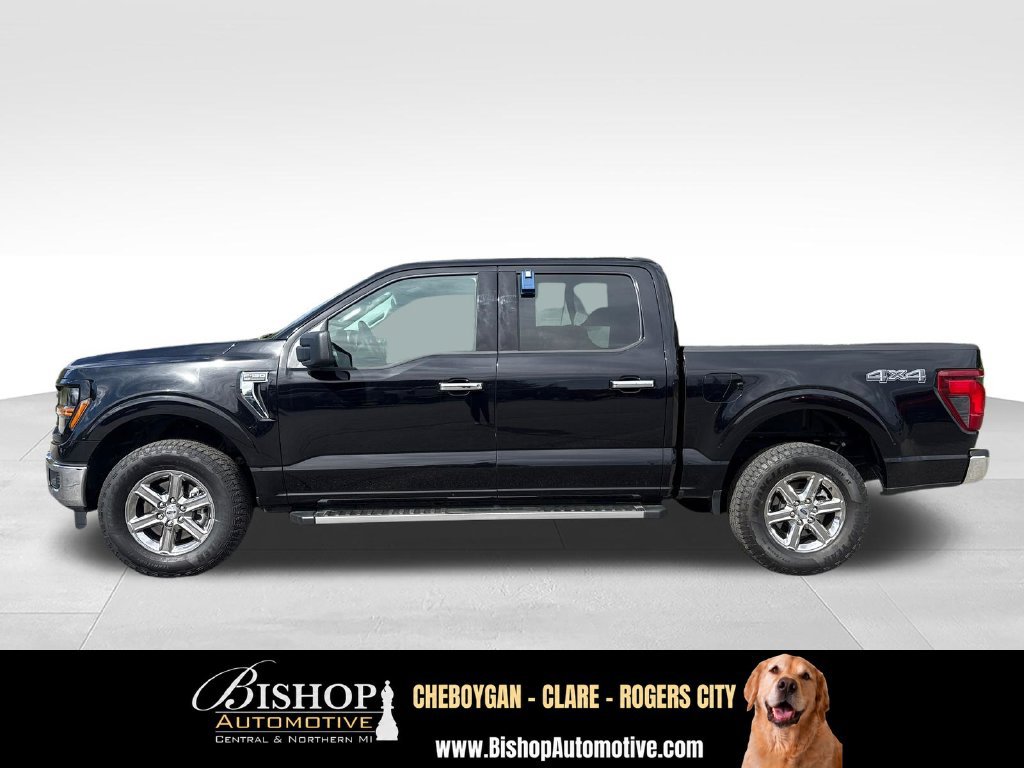 Used 2025 Ford F150 XLT w/ Equipment Group 301A Standard AWD/4WD image 8
