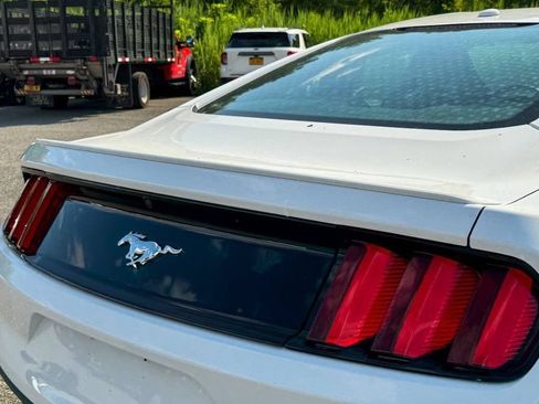 Used 2016 Ford Mustang Premium w/ Equipment Group 201A RWD image 15