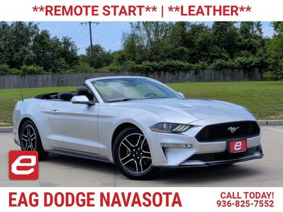 Used 2019 Ford Mustang Premium