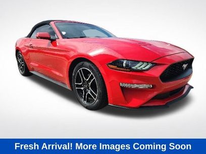 Used 2019 Ford Mustang Convertible