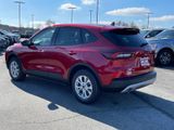 New 2025 Ford Escape Active w/ Tech Pack #1 image 5