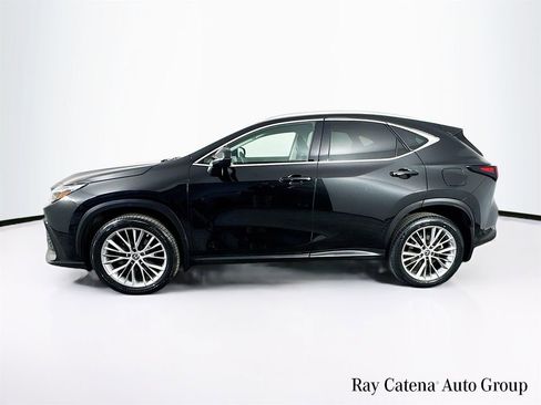 Certified 2023 Lexus NX 350 AWD w/ Cold Area Package image 4
