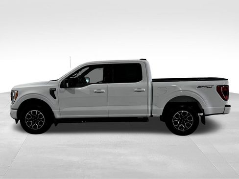 Used 2021 Ford F150 XLT w/ Equipment Group 302A High AWD/4WD image 14