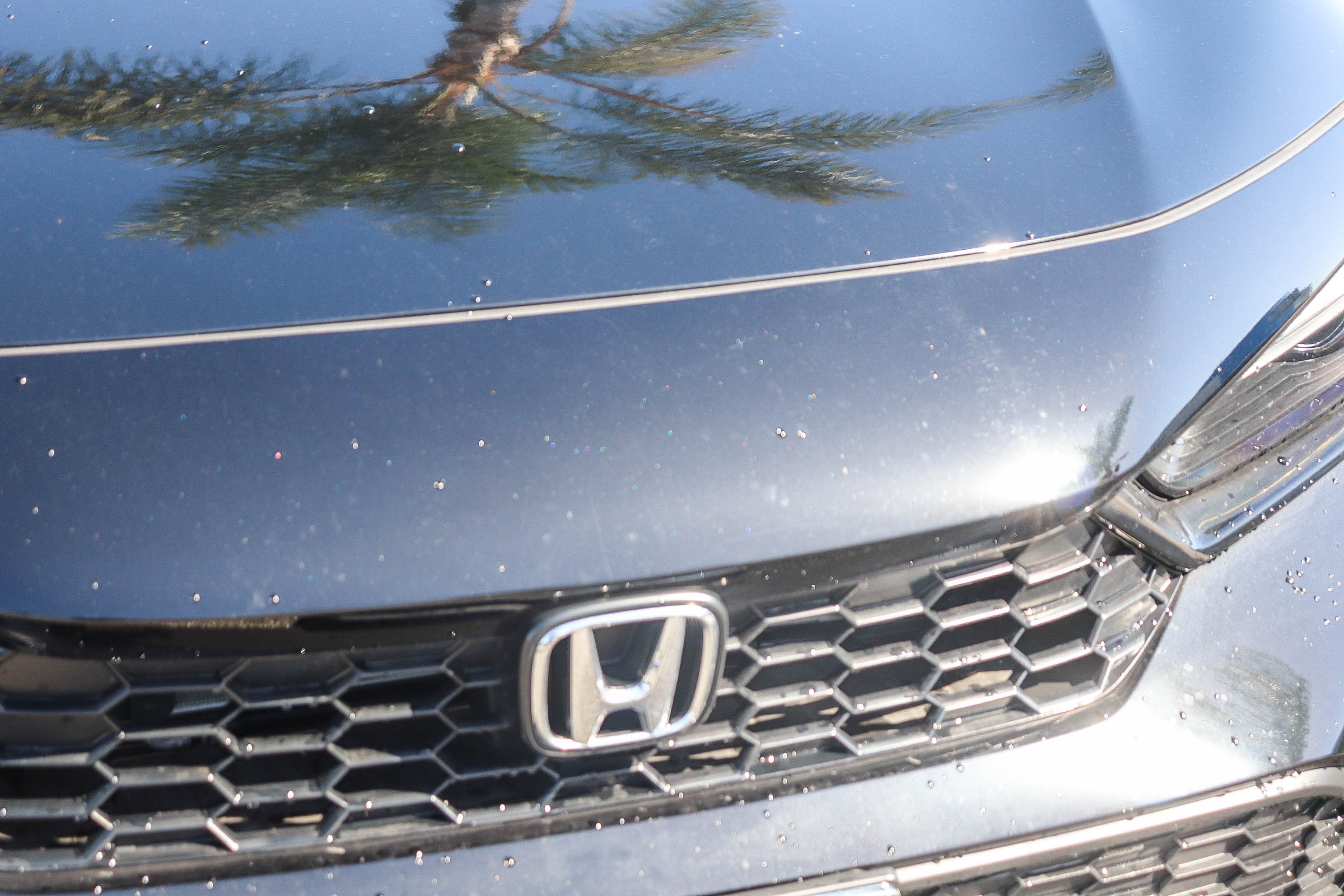 Certified 2026 Honda Civic Sport image 4