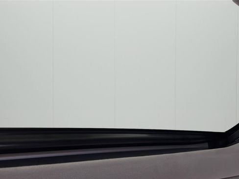 Used 2025 Hyundai Palisade Calligraphy AWD/4WD image 9