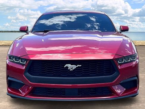 Used 2024 Ford Mustang Premium RWD image 2